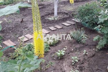 Landplot by the address st. 8 ya liniya (area 5,1 acr) - Atlanta.ua - фото 3