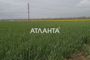 Участок по адресу (площадь 100 сот) - Atlanta.ua - фото 7