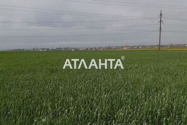 Участок по адресу (площадь 100 сот) - Atlanta.ua - фото 8