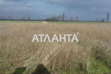 Landplot by the address st. Kotsyubinskogo (area 10 acr) - Atlanta.ua - фото 6