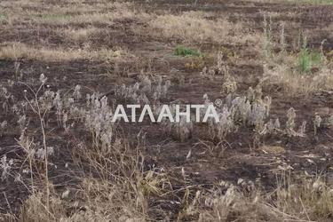 Участок по адресу Новый пер. (площадь 15 сот) - Atlanta.ua - фото 5