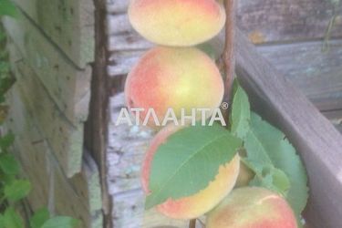 Ділянка за адресою вул. Зелена (площа 5,3 сот) - Atlanta.ua - фото 7