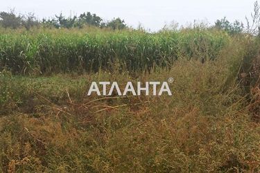 Участок (площадь 10,0 сот) - Atlanta.ua - фото 8