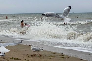 Участок по адресу ул. Мира (площадь 10 сот) - Atlanta.ua - фото 14