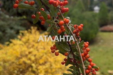 Landplot by the address st. Kordonnyy per (area 6,2 acr) - Atlanta.ua - imageAlt 8