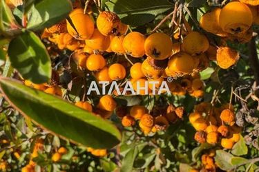 1-room apartment apartment by the address st. Fontanskaya dor Perekopskoy Divizii (area 61,3 m²) - Atlanta.ua - фото 21