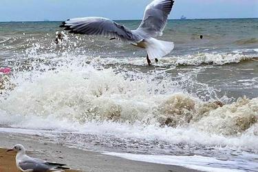 Участок по адресу Троицкий пер. (площадь 6 сот) - Atlanta.ua - фото 12