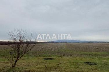 Участок по адресу (площадь 210 сот) - Atlanta.ua - фото 9