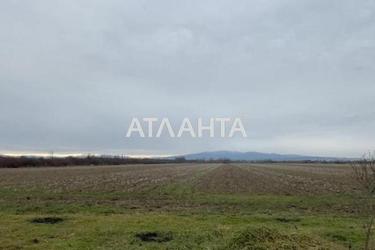 Участок по адресу (площадь 210 сот) - Atlanta.ua - фото 10