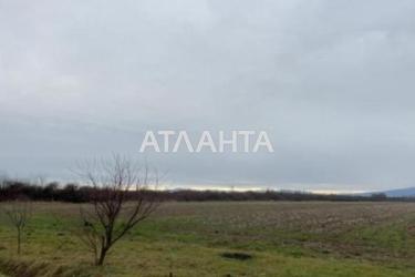 Участок по адресу (площадь 210 сот) - Atlanta.ua - фото 12