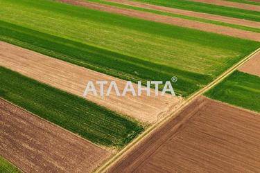 Ділянка за адресою (площа 210 сот) - Atlanta.ua - фото 10