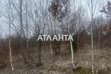 Участок по адресу (площадь 24 сот) - Atlanta.ua - фото 7