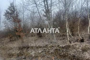 Участок по адресу (площадь 24 сот) - Atlanta.ua - фото 9