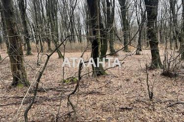 Ділянка за адресою (площа 9 сот) - Atlanta.ua - фото 10