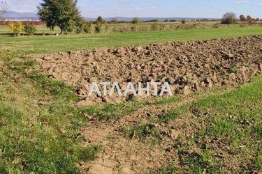 Ділянка за адресою вул. Колоскова (площа 30 сот) - Atlanta.ua - фото 7