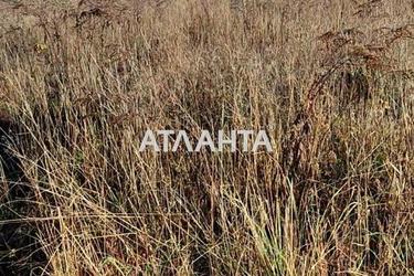 Участок по адресу (площадь 30 сот) - Atlanta.ua - фото 10