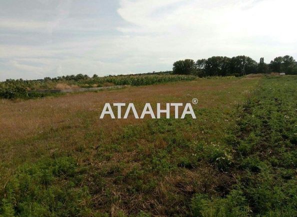 Landplot by the address st. Shkolnaya (area 15,0 сот) - Atlanta.ua