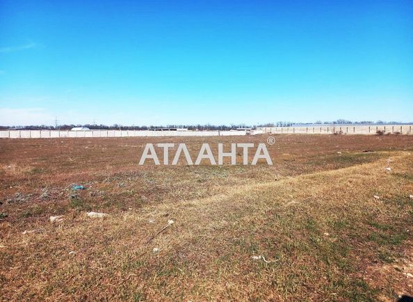 Landplot by the address st. Massiv 4 (area 25 acr) - Atlanta.ua - photo 4