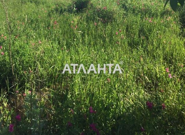 Landplot by the address st. Nezavisimosti (area 15 acr) - Atlanta.ua - photo 6