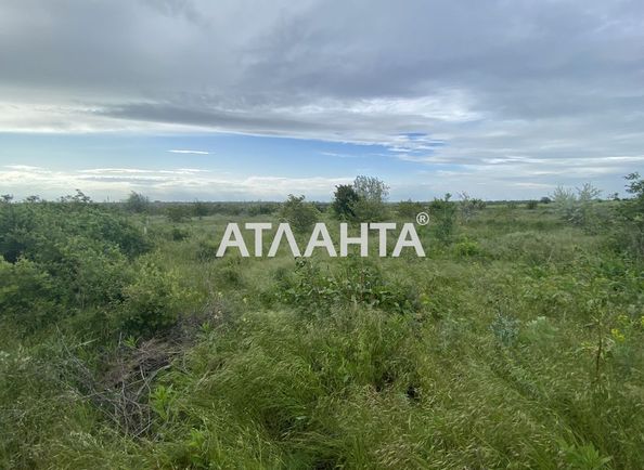 Участок по адресу ул. Маячная (площадь 8 сот) - Atlanta.ua
