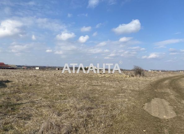 Landplot by the address st. Novoselov (area 18,3 acr) - Atlanta.ua - photo 3