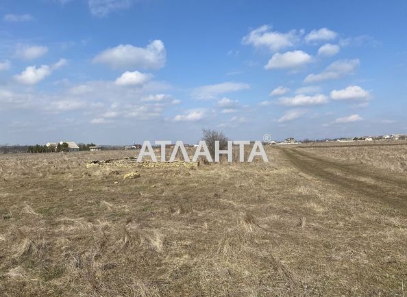 Landplot by the address st. Novoselov (area 18,3 acr) - Atlanta.ua - photo 4