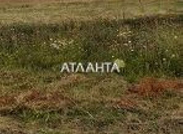 Ділянка за адресою вул. Центральна (площа 8 сот) - Atlanta.ua - фото 4