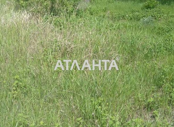 Landplot by the address st. Polevaya (area 16 acr) - Atlanta.ua - photo 4