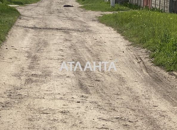 Landplot by the address st. Vinogradnaya (area 10,0 сот) - Atlanta.ua - photo 3