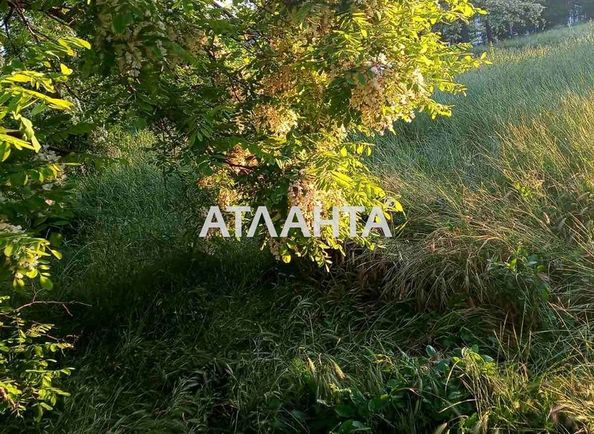 Landplot by the address st. Shishkina (area 10,0 сот) - Atlanta.ua - photo 2