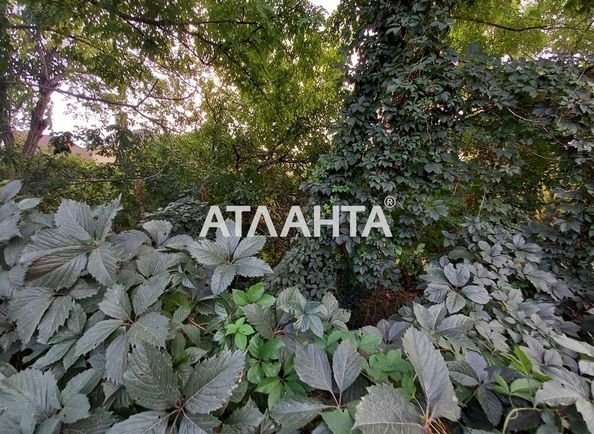 Landplot by the address st. Tsvetochnaya (area 6,0 сот) - Atlanta.ua - photo 3