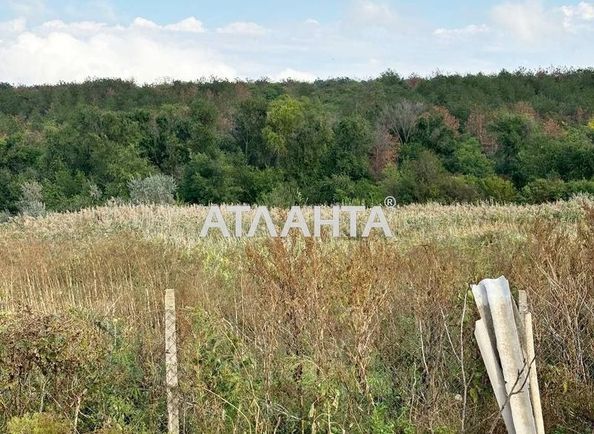 Ділянка за адресою вул. Радянська (площа 25 сот) - Atlanta.ua - фото 4