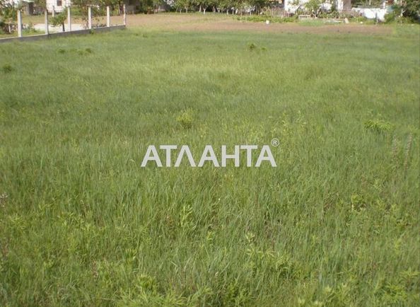 Landplot by the address st. Vinogradnaya (area 10 acr) - Atlanta.ua - photo 5
