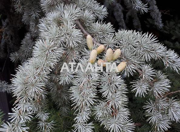 Дом по адресу Фонтанская дор. (площадь 160 м²) - Atlanta.ua - фото 16