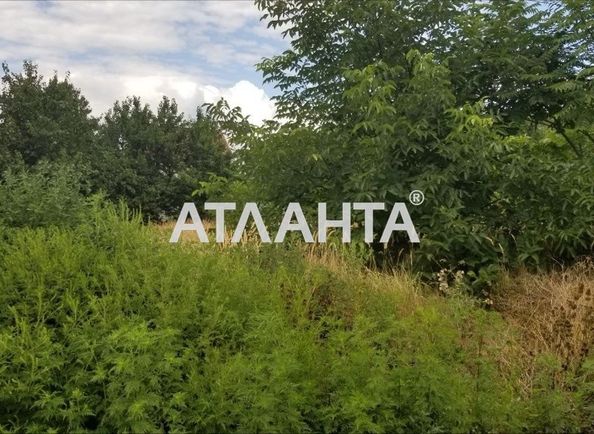 Ділянка за адресою вул. Новоросійська (площа 6,5 сот) - Atlanta.ua - фото 4