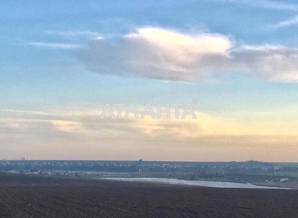 Участок по адресу ул. Массив №24 (площадь 8 сот) - Atlanta.ua - фото 3