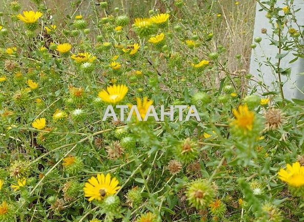 Landplot by the address st. Yasenevaya (area 10 acr) - Atlanta.ua - photo 2