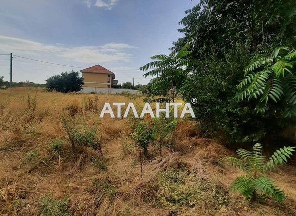 Landplot by the address st. Yasenevaya (area 10 acr) - Atlanta.ua - photo 4