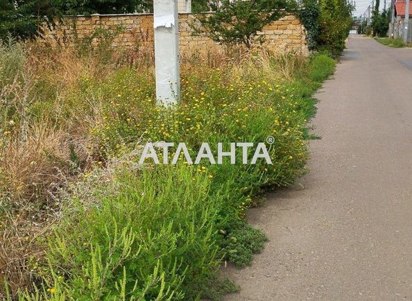 Landplot by the address st. Yasenevaya (area 10 acr) - Atlanta.ua - photo 7