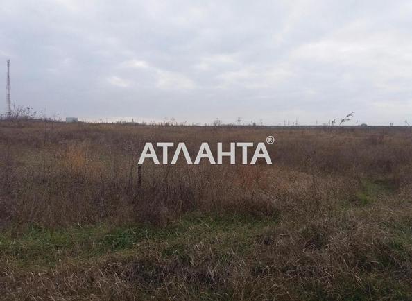 Участок (площадь 10 сот) - Atlanta.ua - imageAlt 4