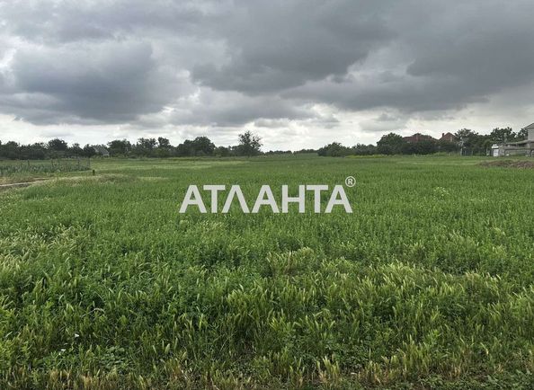 Landplot by the address st. Gornostaeva (area 10 acr) - Atlanta.ua - photo 4