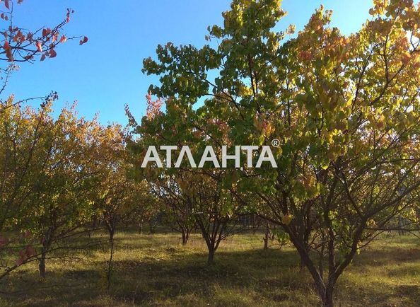 Landplot by the address st. Oktyabrskaya (area 6,5 сот) - Atlanta.ua - photo 3