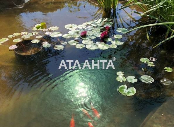 Будинок за адресою вул. Пушкіна (площа 250 м²) - Atlanta.ua - фото 4