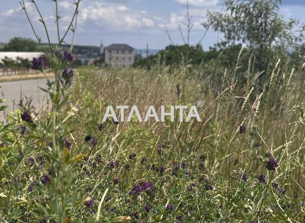 Landplot by the address (area 4 acr) - Atlanta.ua - photo 8