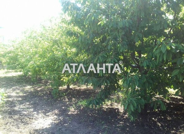 Landplot by the address st. Kotsyubinskogo Sverdlova (area 3 acr) - Atlanta.ua - photo 6