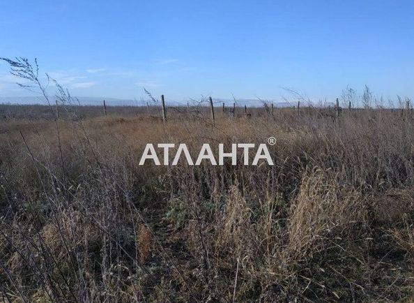 Landplot by the address st. Tsentralnaya (area 25,0 сот) - Atlanta.ua
