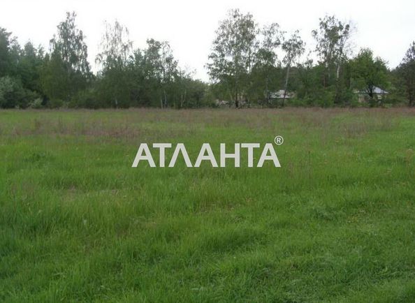 Участок по адресу ул. Центральная (площадь 12 сот) - Atlanta.ua