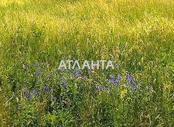 Landplot by the address st. Demchenko marii (area 28 acr) - Atlanta.ua - photo 5