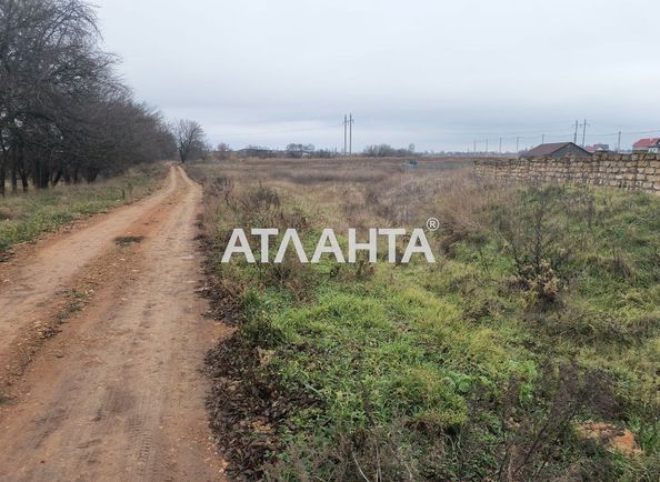 Landplot by the address st. Berezovaya (area 8 acr) - Atlanta.ua - photo 3