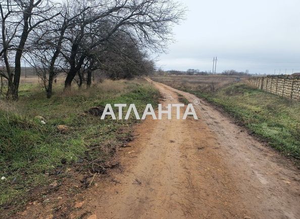 Landplot by the address st. Berezovaya (area 8 acr) - Atlanta.ua - photo 5